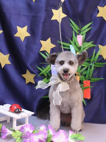 20230722シルヴァくん